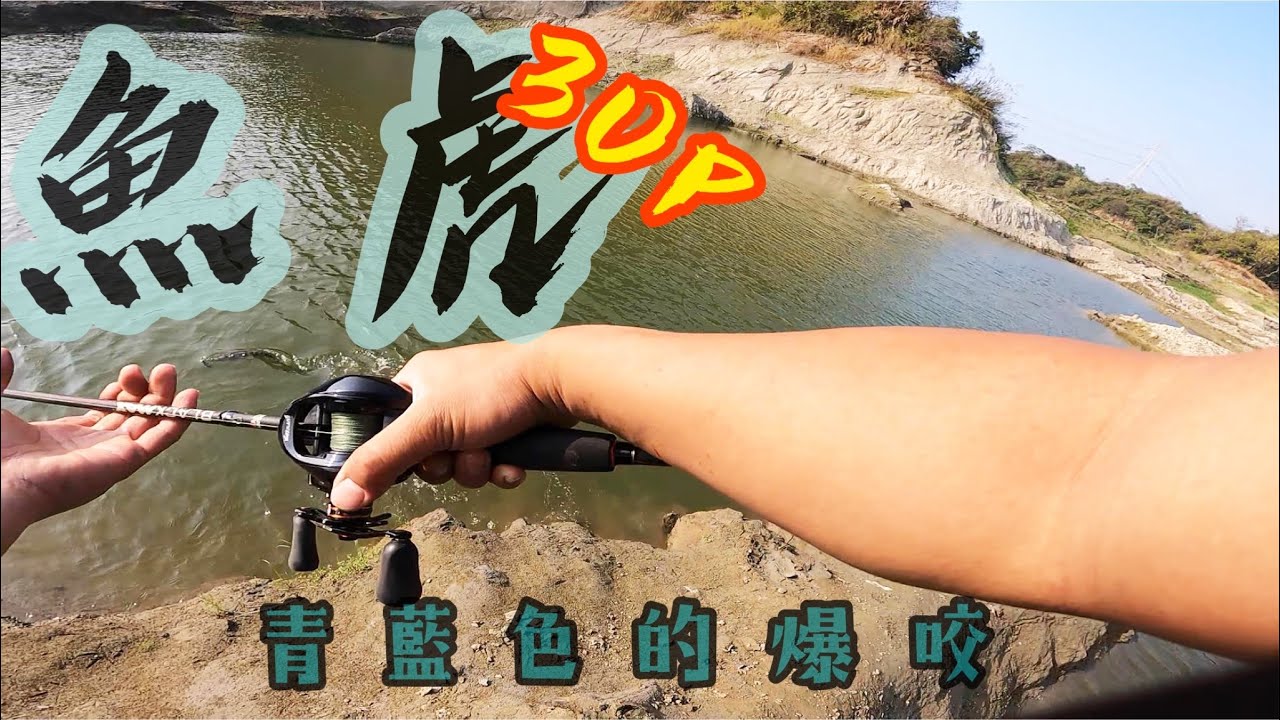 魚虎爆咬30P!南臺灣魚虎岸拋最咬的一天!#魚虎#路亞#換氣#白河水庫