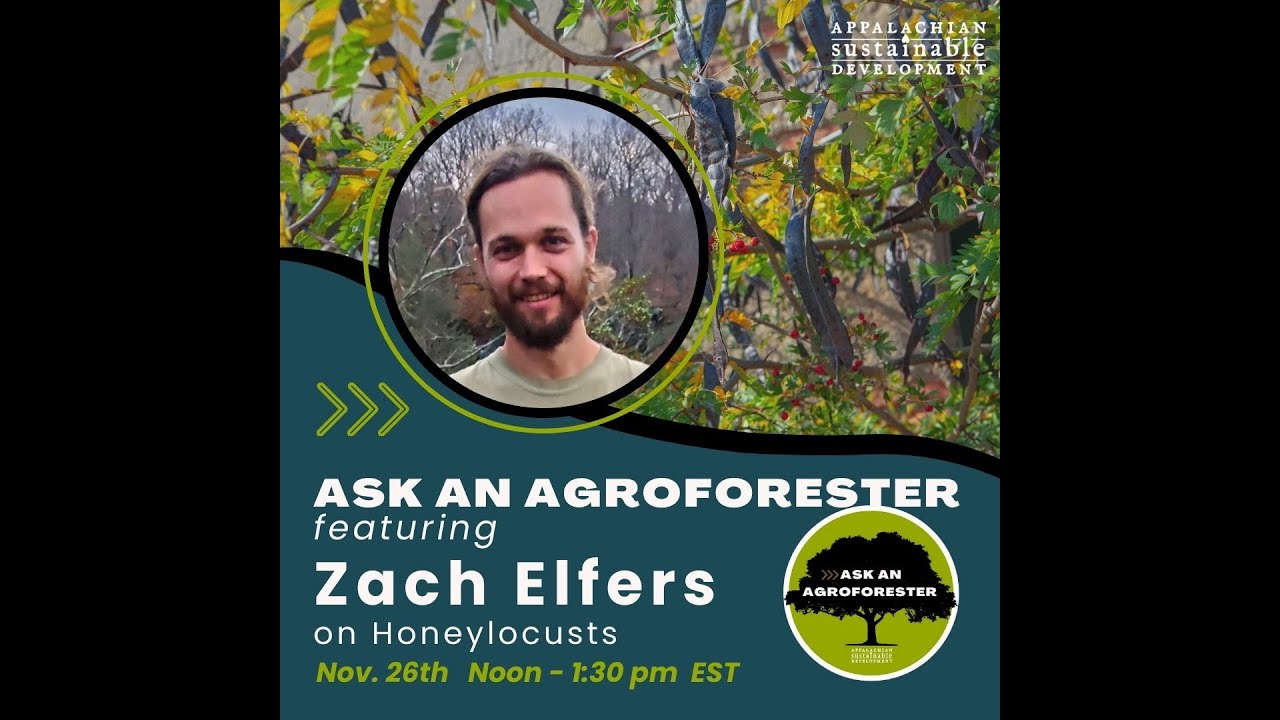 Ask An Agroforester -  Honey Locust and Forest Exploration with Zach Elfers