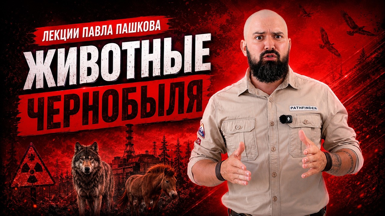 Что стало с животным в Чернобыле после ядерной катастрофы?