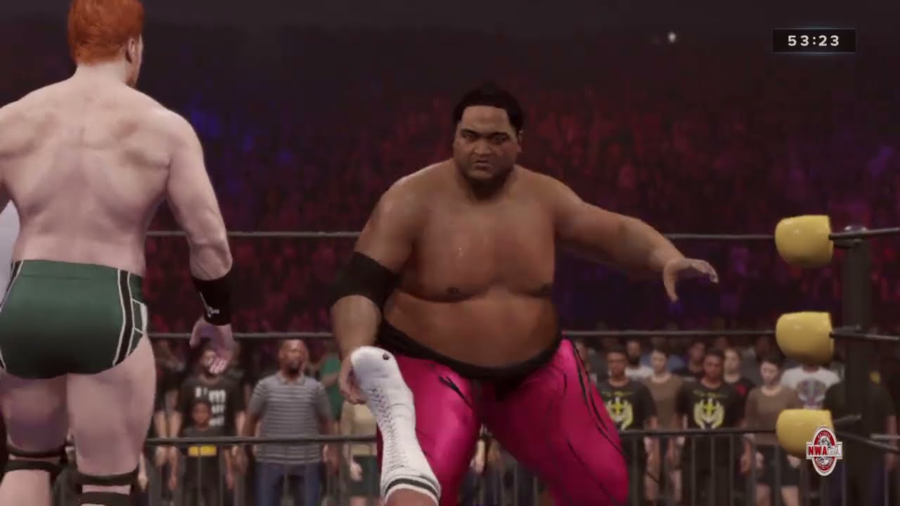NWA Tag Team Championship 2 of 3 Falls Tornado Tag Lashley & Roberts vs. Yokozuna & Sheamus