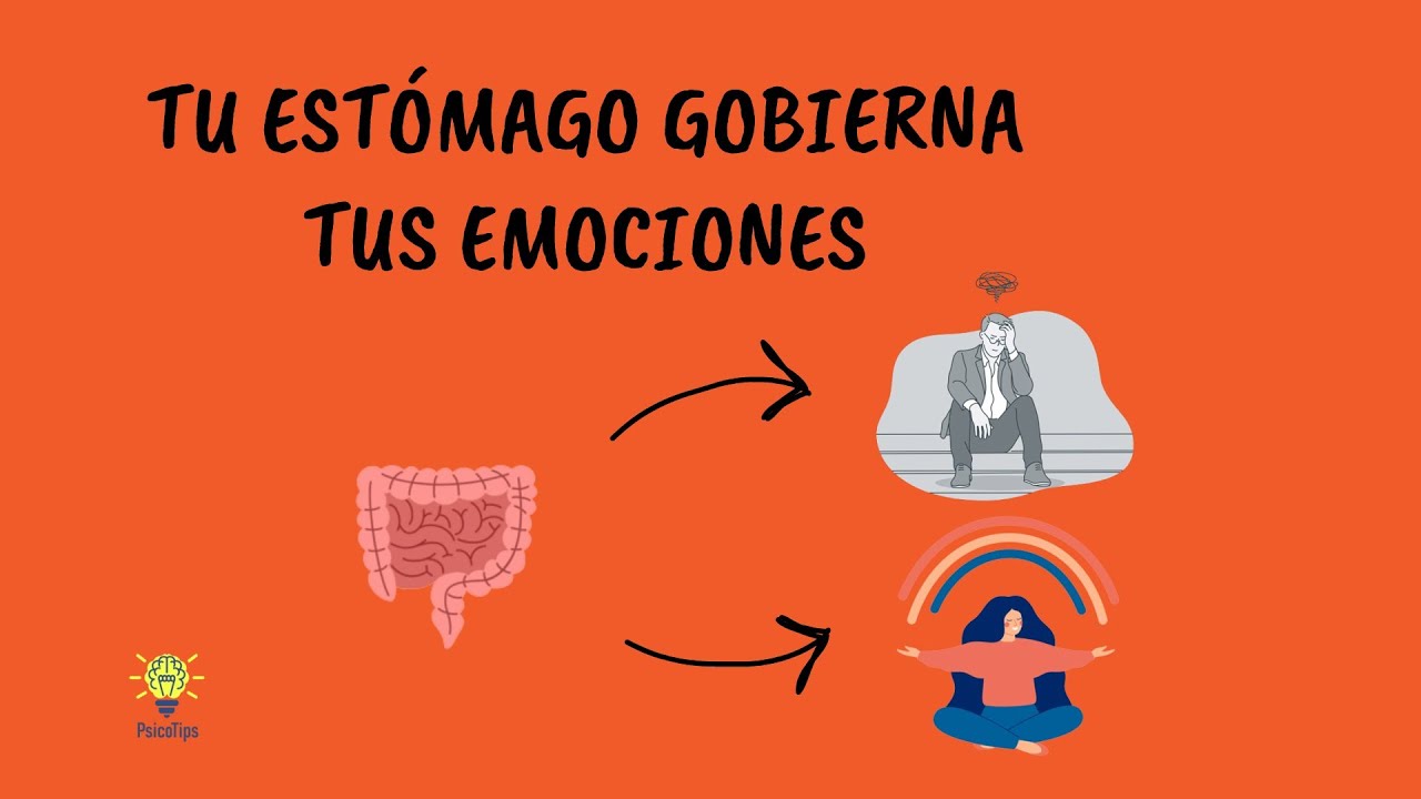 El Segundo Cerebro 🧠 La Impactante Conexión Cerebro-Estómago