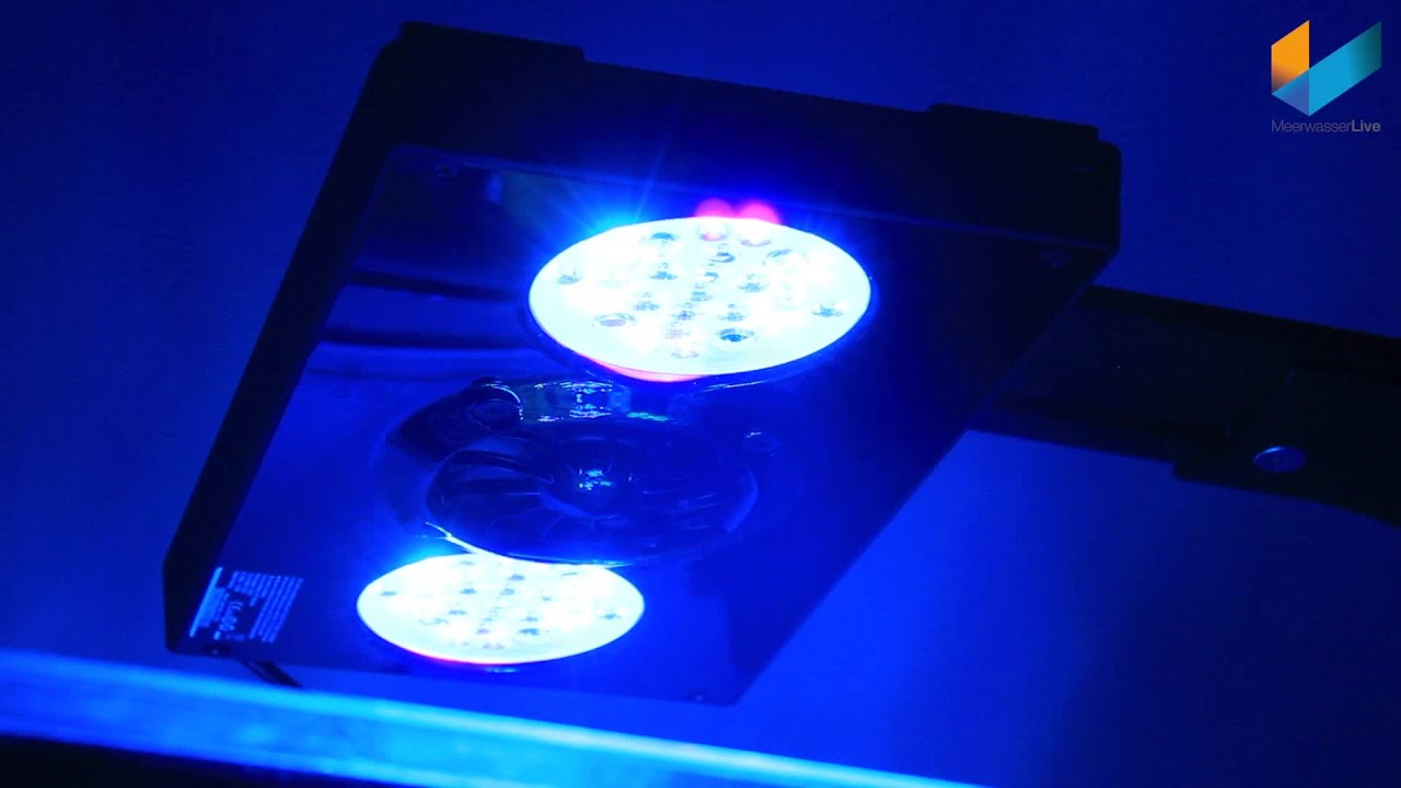 EcoTech Marine Radion XR30w Pro | REVIEW | MeerwasserLive TV