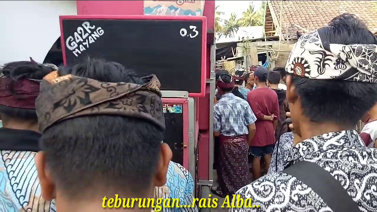 Baru!! Ra'is alba gagar mayang 03 #Teburungan