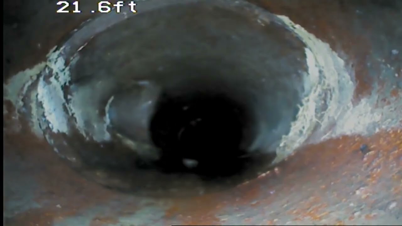 Elmwood Ave Sewer Scope