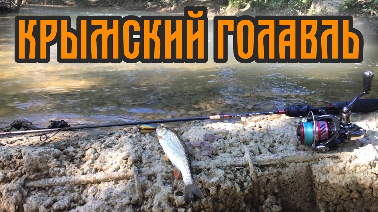 Крымский Голавль | Рыбалка на реке Бельбек!