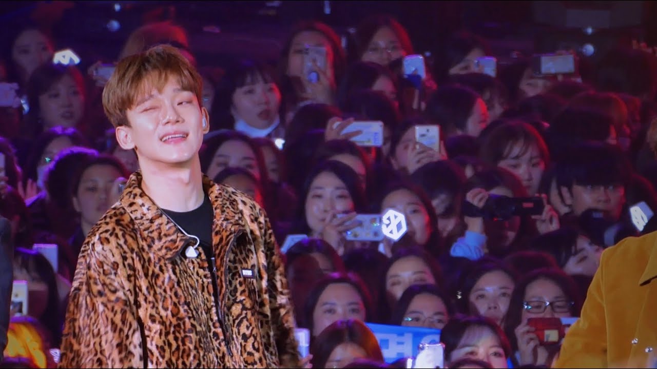 190316 네이처 팬페스티벌 with EXO 'Gravity' 첸 포커스