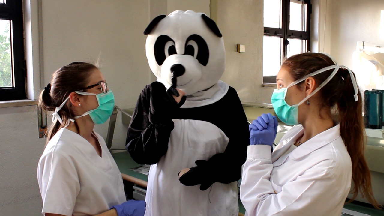 Panda Flash