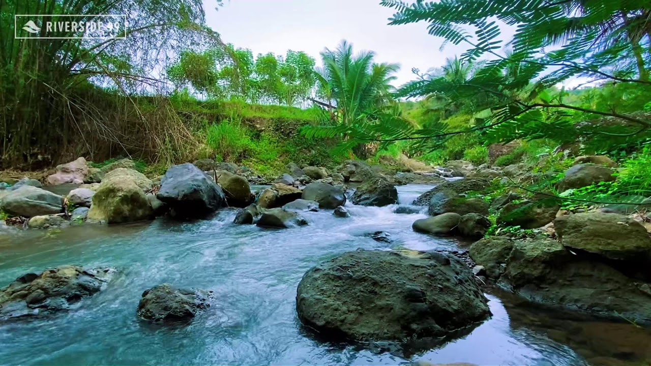 Mountain River Flowing Sounds 24/7 for Sleeping | Nature Water Sounds White Noise for Relaxation #2
