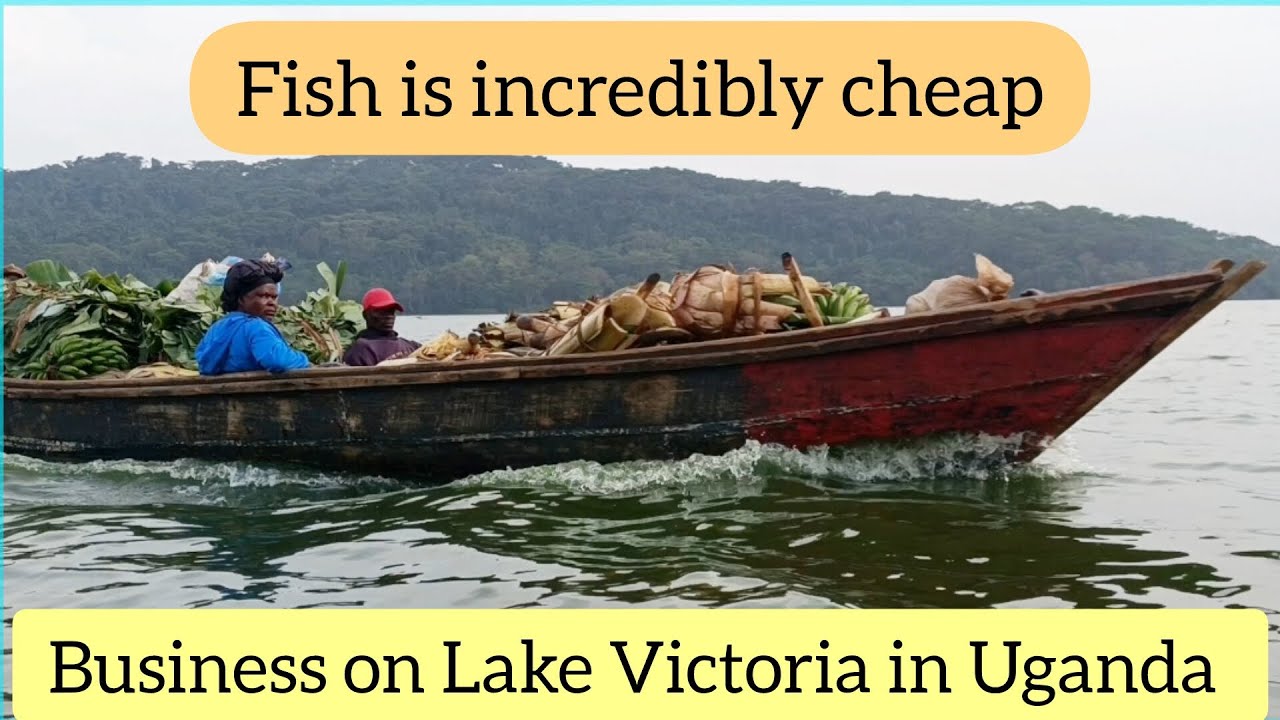 Fish is incredibly cheap on a market day and business is booming on Lake Victoria in Uganda