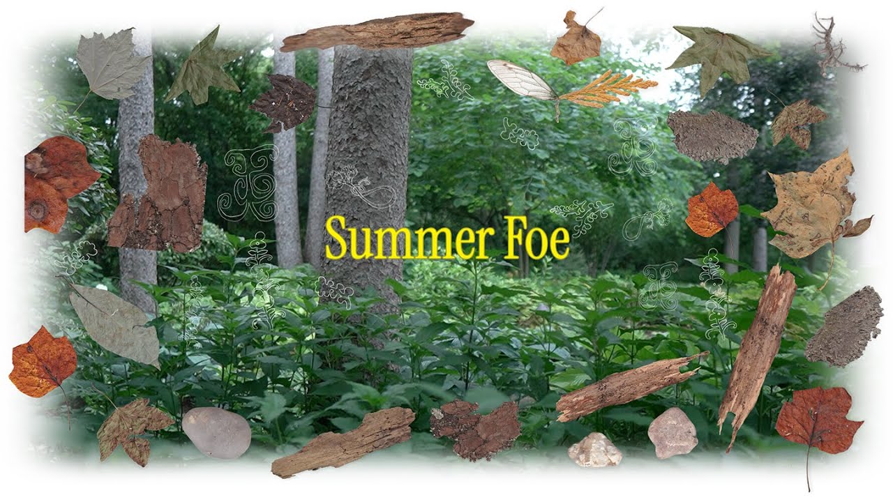 Summer Foe
