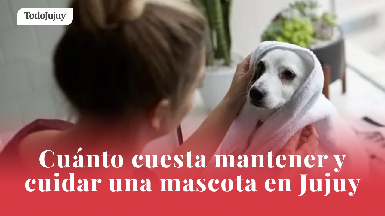 Cuánto cuesta mantener y cuidar una mascota en Jujuy