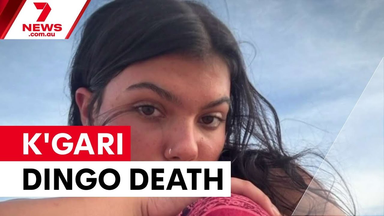 Backpacker drowned after dingo attack on K'gari | 7NEWS