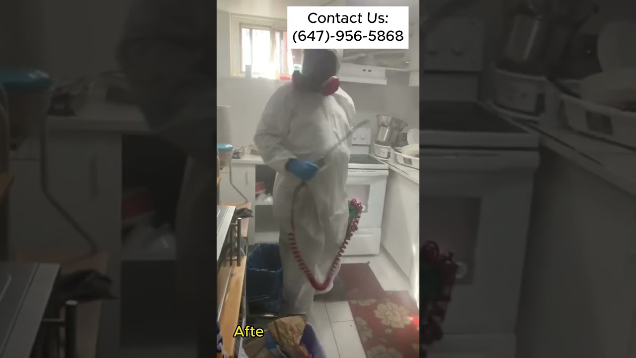 Cockroach Control Service