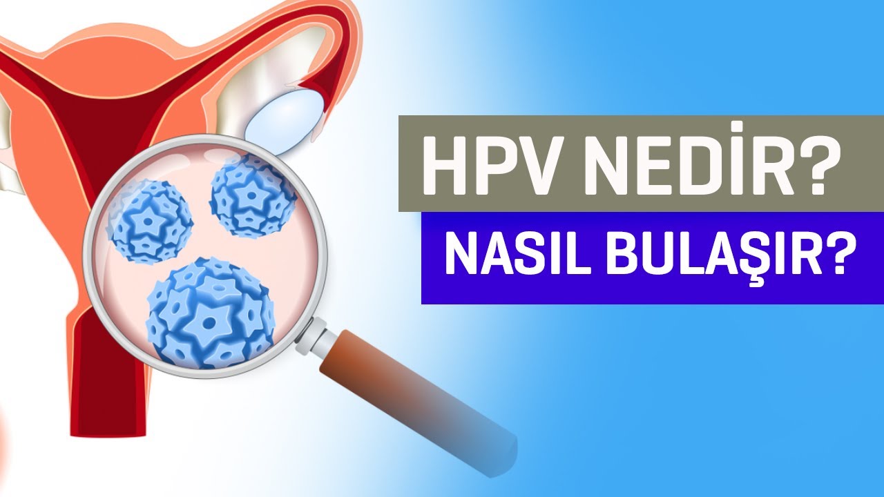 HPV Nedir? HPV Vir&uuml;s&uuml;n&uuml;n Kanser Yapan Tipleri HPV Vir&uuml;s&uuml;n&uuml;n Siğil Yapan Tipleri Hangileridir?