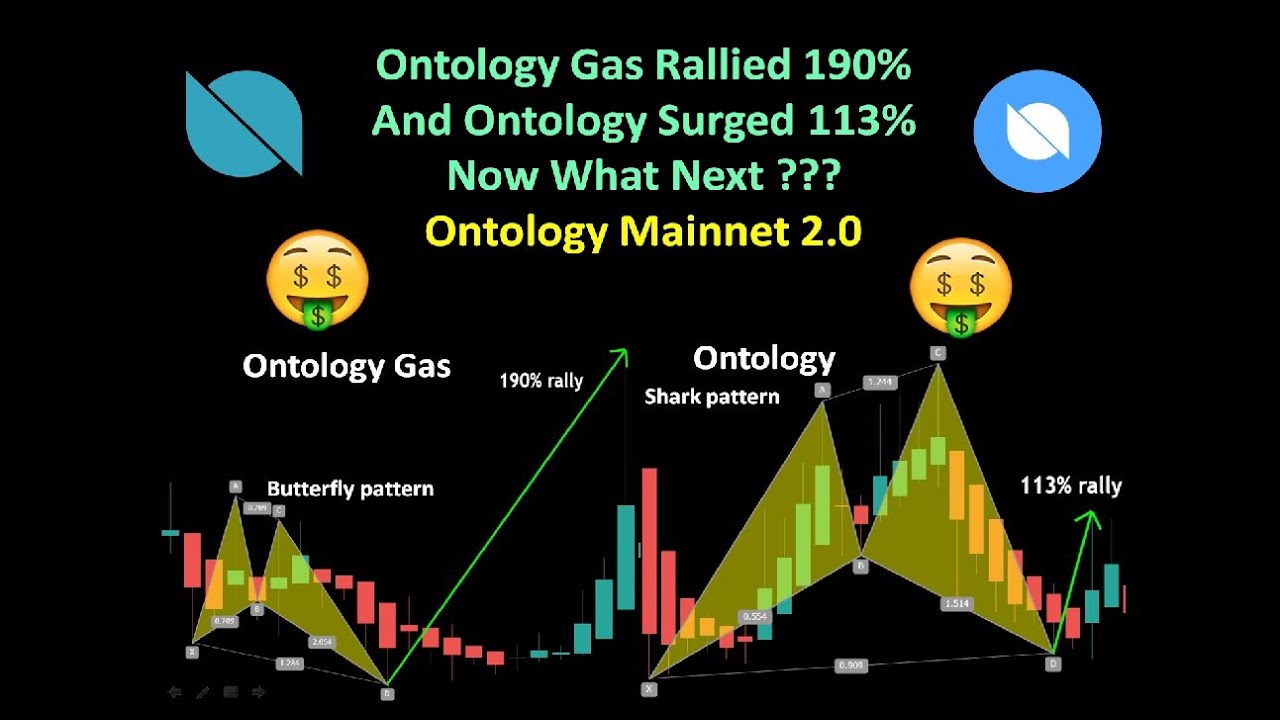 Ontology Gas Rallied 190% And Ontology Surged 113% Now What Next ??? | Ontology Mainnet 2.0
