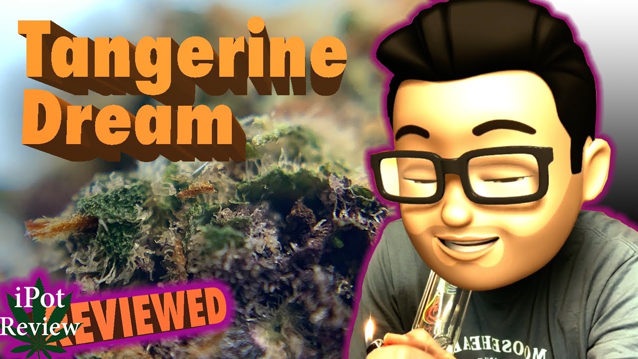 Tangerine Dream by San Rafael '71| OCS Review