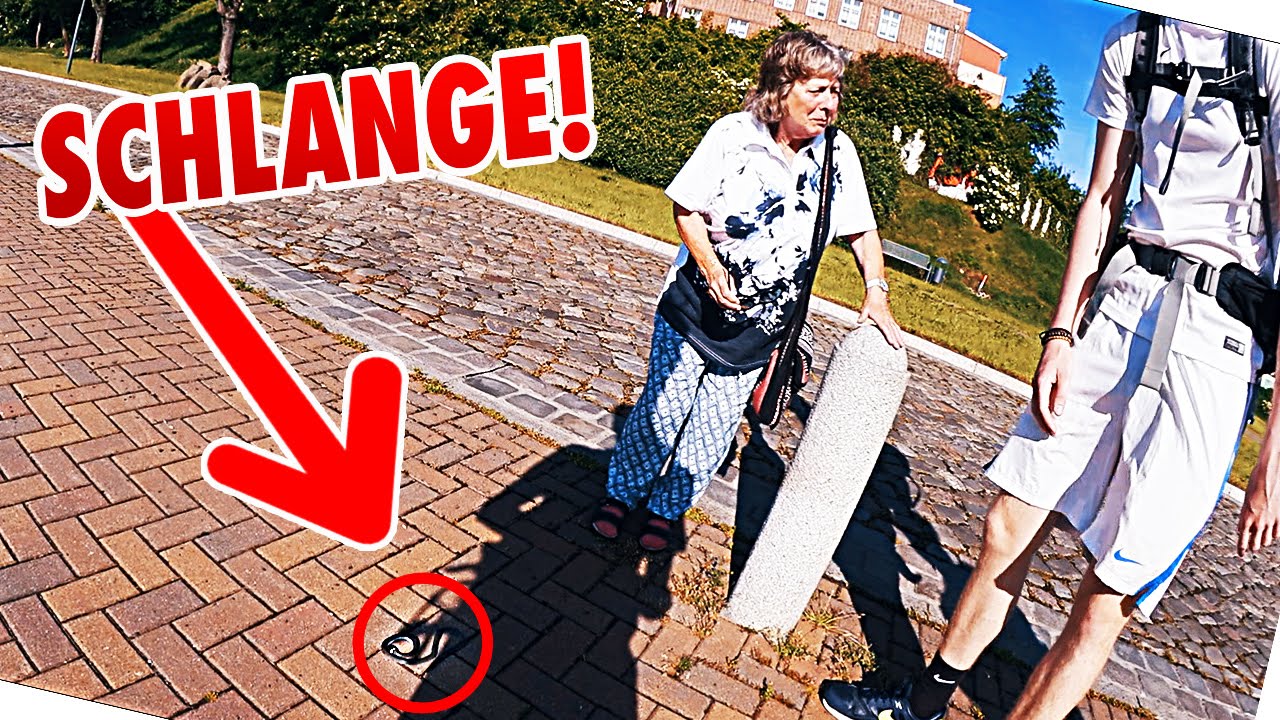 ECHTE SCHLANGE ÜBERFAHREN | MiniTour Tag 12 | Dner