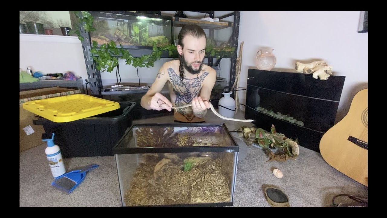 VLOG | ANIMAL ENRICHMENT
