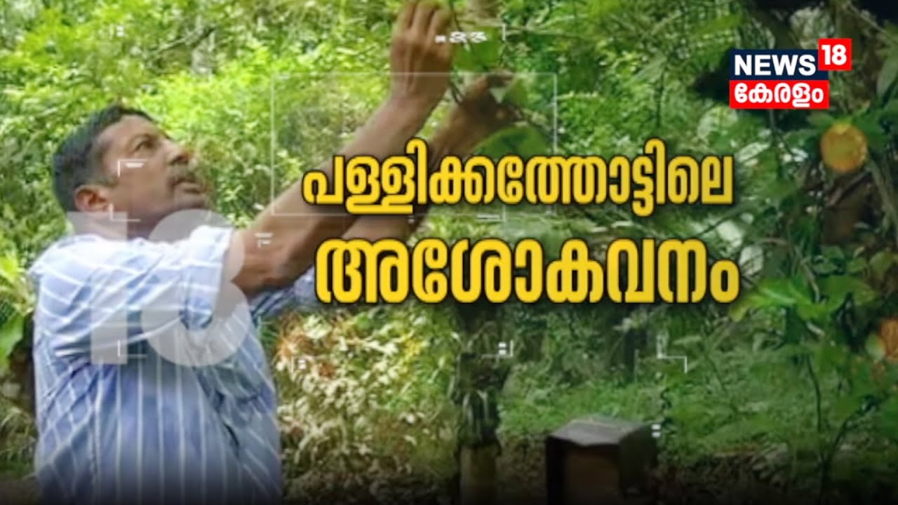 വീടിനു ചുറ്റും കാട്‌ സംരക്ഷിക്കുന്ന Ashokan, പള്ളിക്കത്തോട്ടിലെ അശോകവനത്തിന്റെ വിശേഷങ്ങൾ