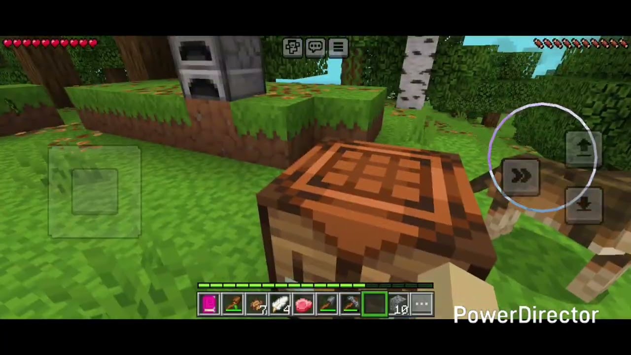 Minecraft e 1