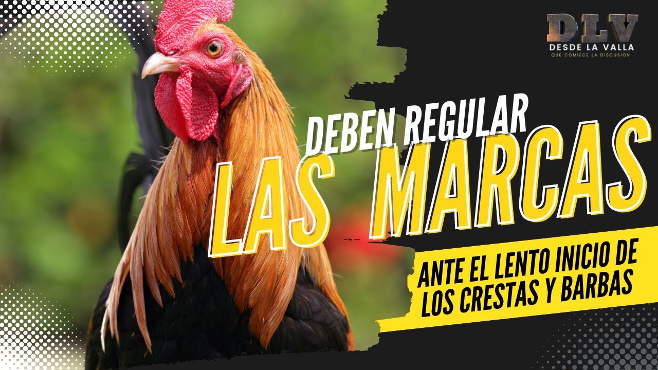 SE DEBEN REGULAR LAS MARCAS DE LOS POLLOS