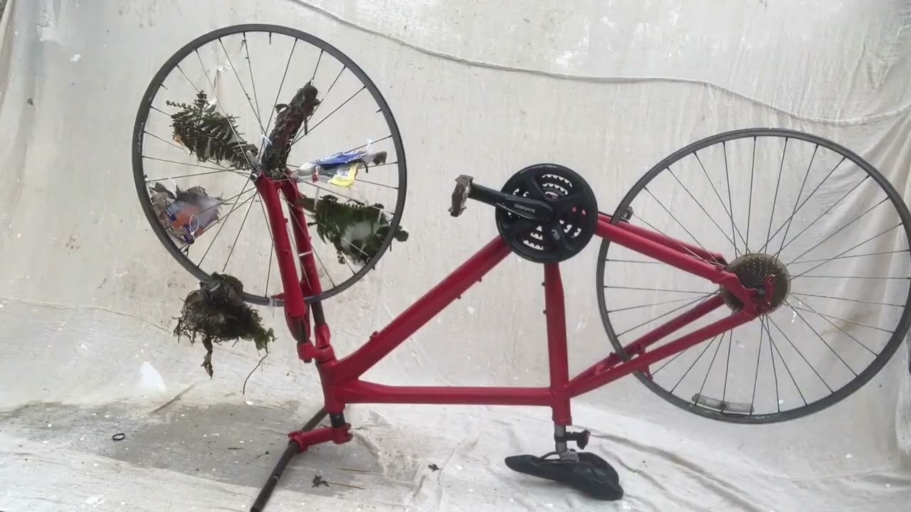 Environmental Sustainability Award Winning Piece