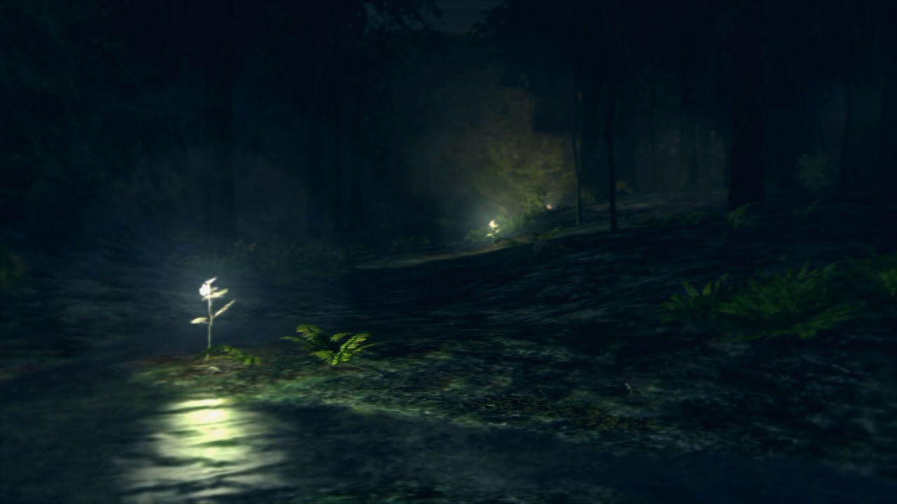 Dark Souls Ambiance - Darkroot Garden (Peaceful Forest Sounds) - 10 Hours