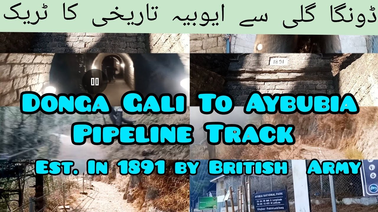 Donga Gali To Aybubia Pipeline Track | Pipeline Trekking #pipelinetrack