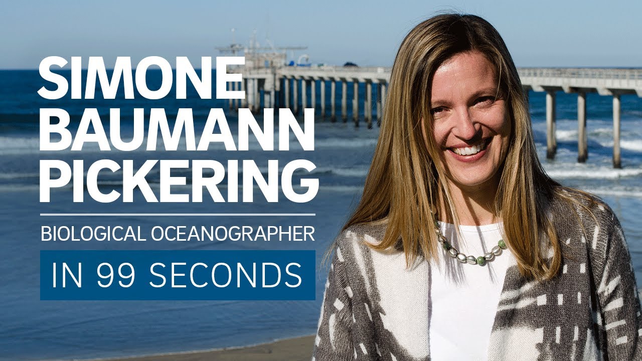 A Scientist's Life in 99 Seconds: Biological Oceanographer Simone Baumann Pickering