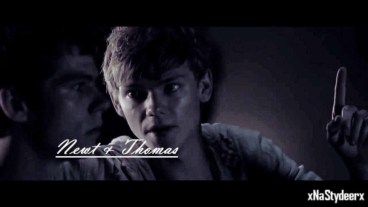 ◄Newt & Thomas{Newmas} || Together to be