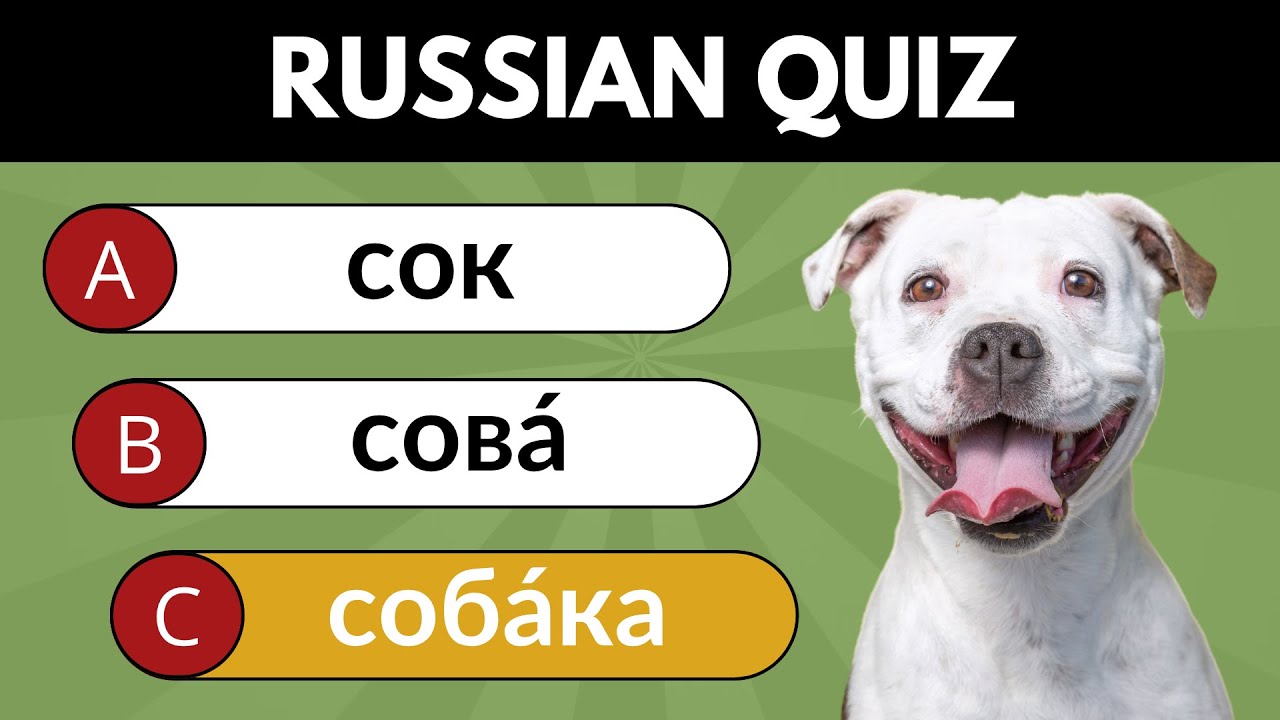 Russian Language Test 🇷🇺 50 Basic Russian Words for Beginners