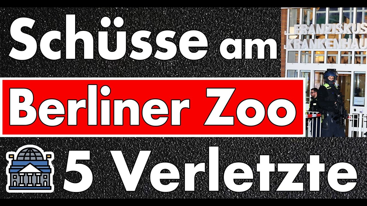Schüsse am Berliner Zoo! Polizei spricht von Streit mit Schussabgabe? Die Sprache ist ein Problem!