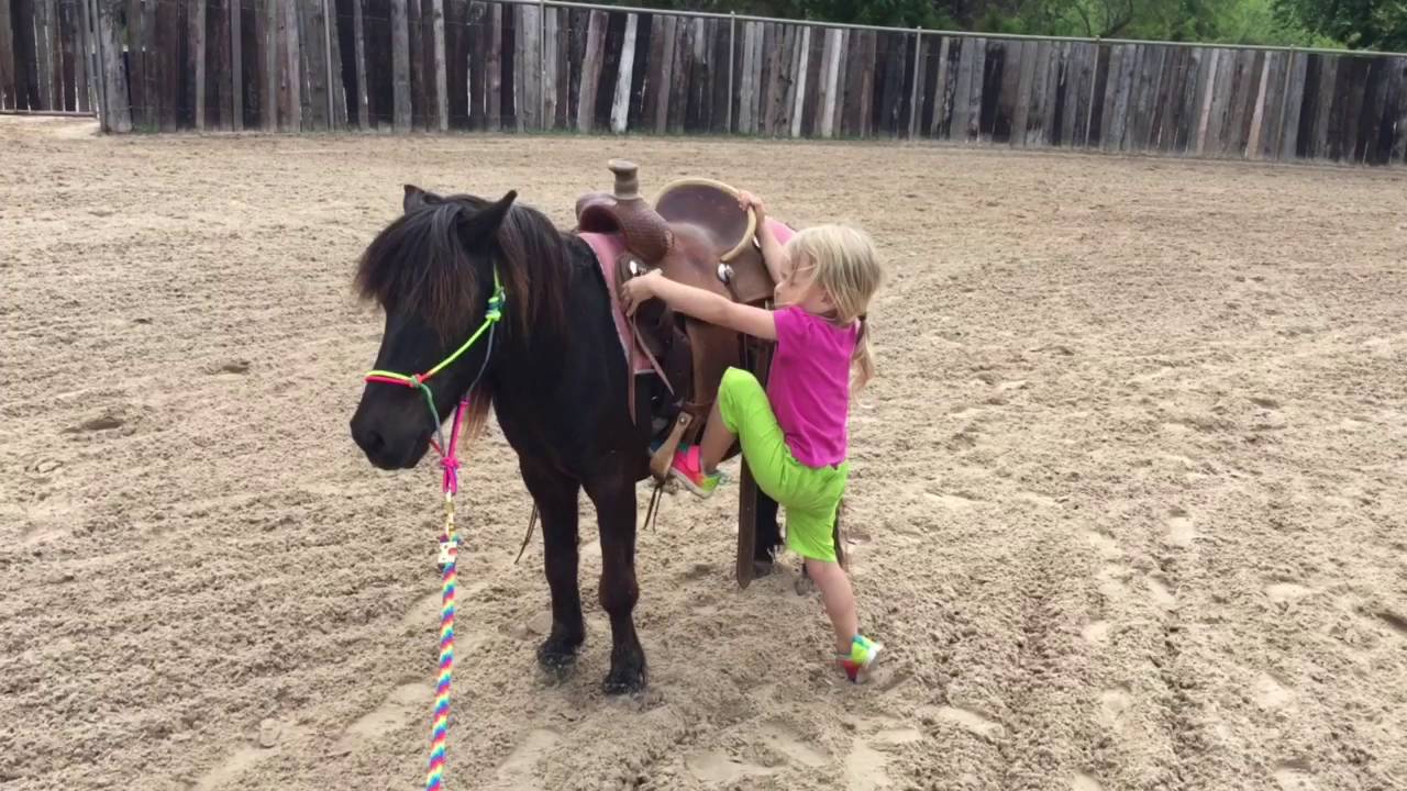 Reata trick riding on Houdini