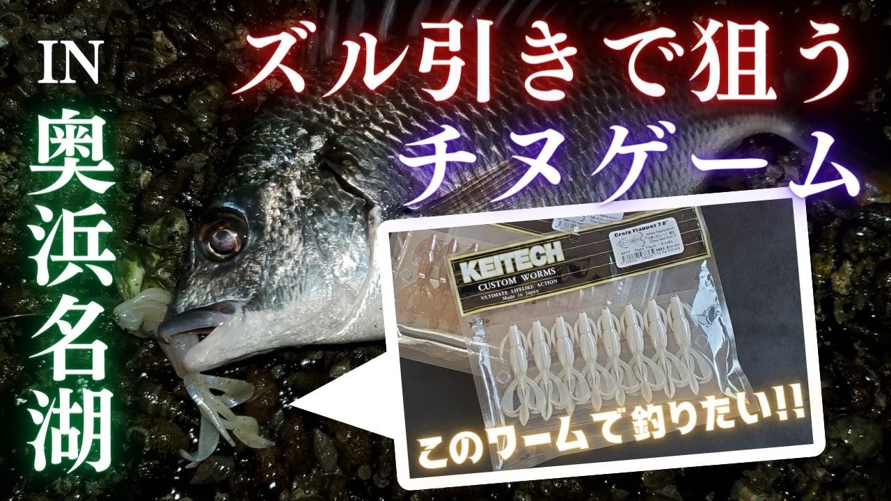 【チニング】奥浜名湖のチヌを噂のリグとルアーで狙う　2022年06月末　長潮