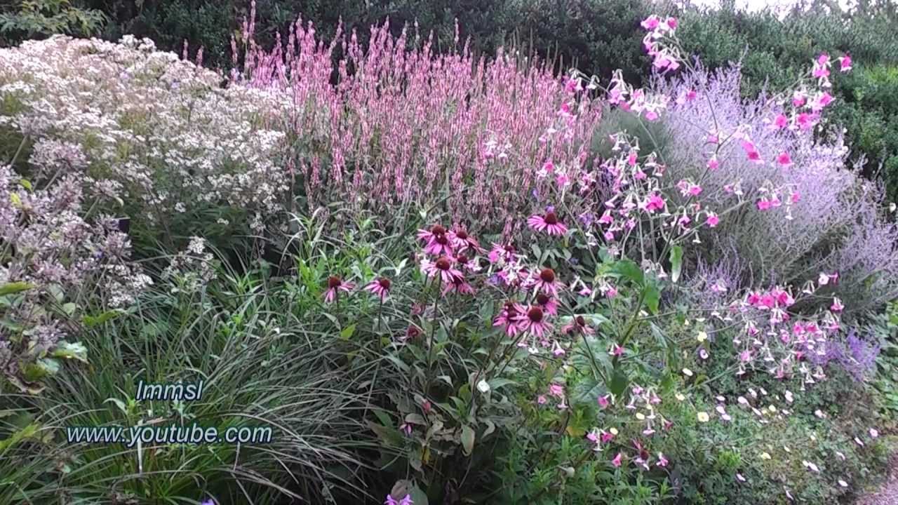 Nature and Trees -  RHS Rosemoor Garden In Devon