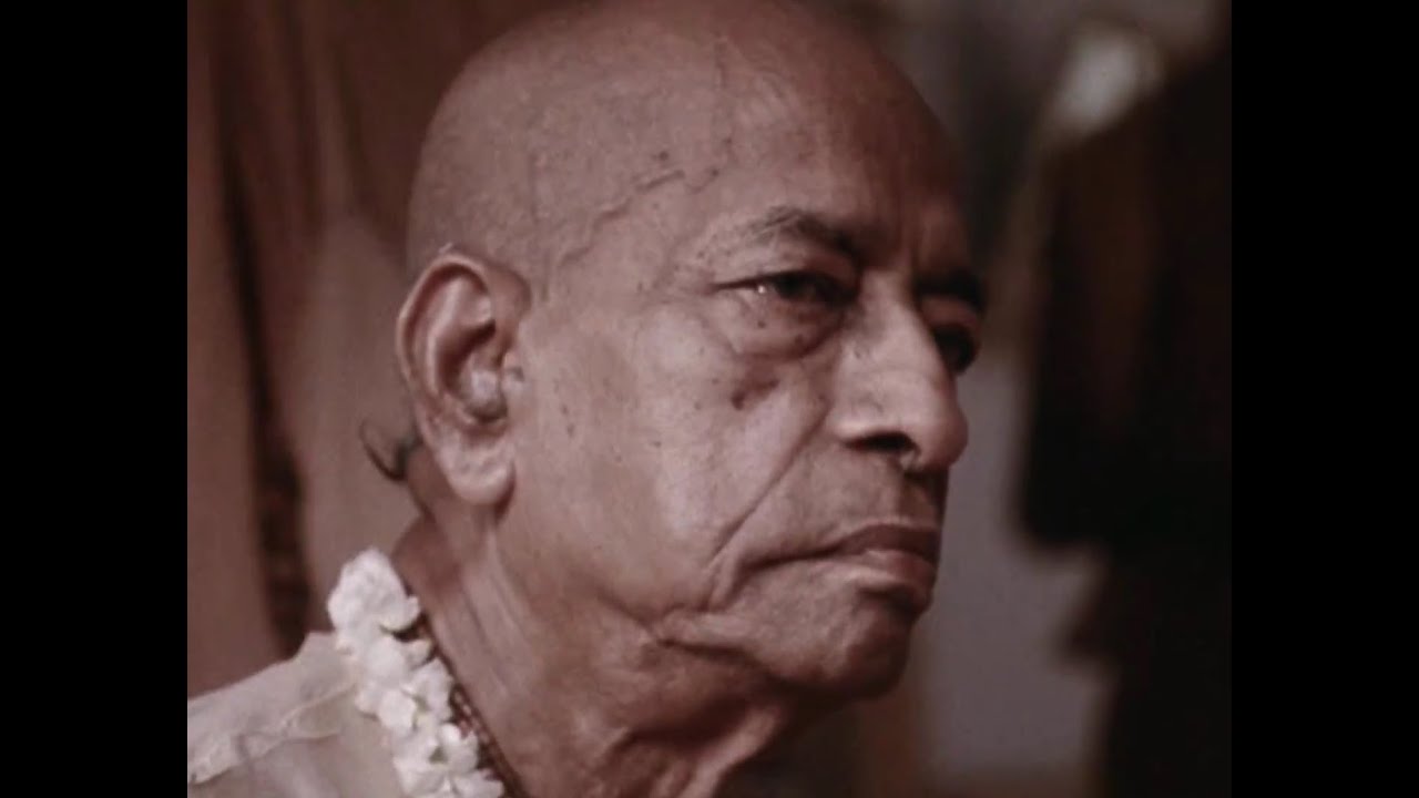 Following Srila Prabhupada | DVD 11