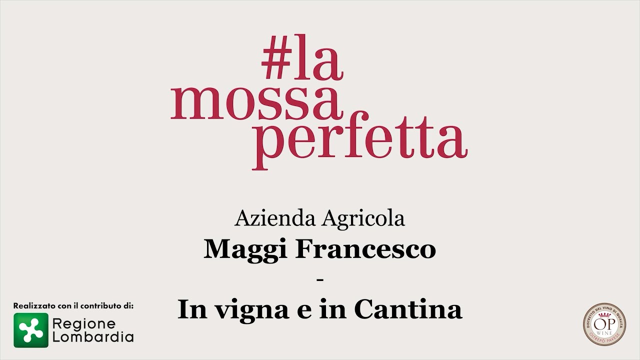 In Cantina e in Vigna produttore Maggi