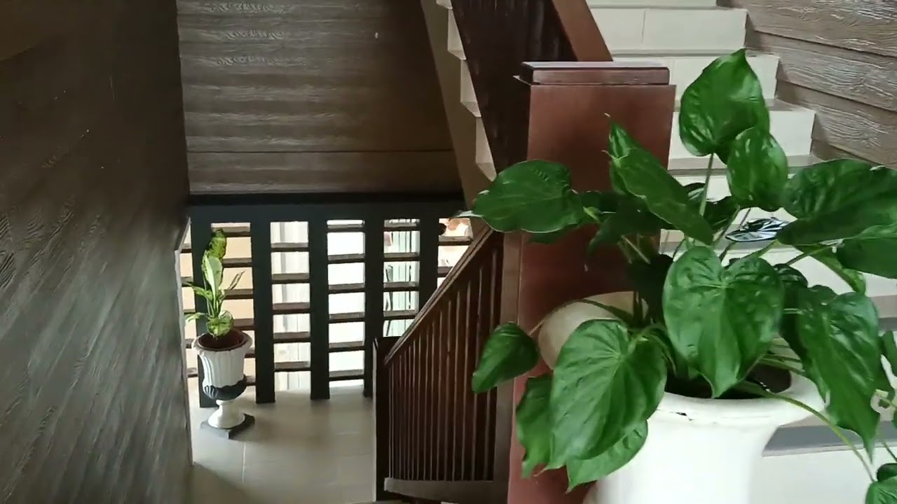 Pine Tree Mountain Resort | Balamban Cebu | Tourist destination | Weekend home