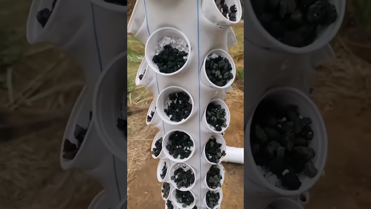 Hidroponia vertical com tubos 200mm.  #garden  #hidroponiabrasil  #gardening