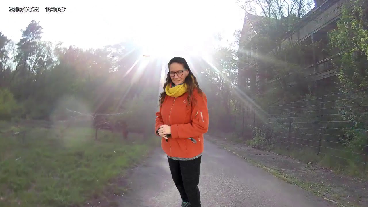 Botschaft meiner lieben Lichtbegleiter