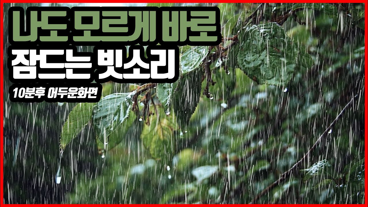 나도 모르게 바로 잠드는 빗소리｜이명 불면증 치료효과｜10분후 화면꺼짐 ｜RAIN SOUND