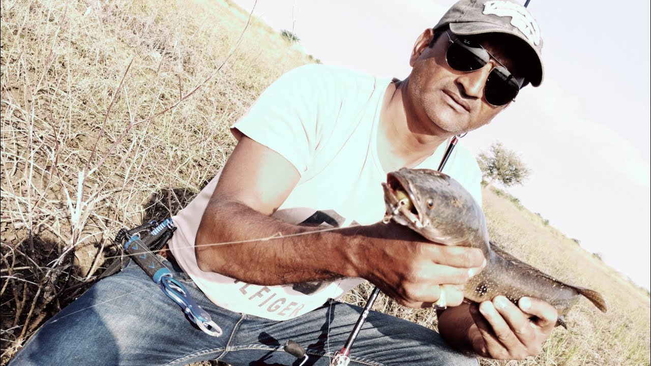 Gaint Snakehead Fishing at Gulbarga Karnataka India