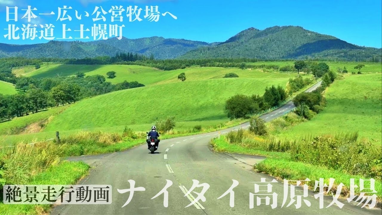 【走行動画】北海道ナイタイ高原牧場の道【日本一広い公営牧場】