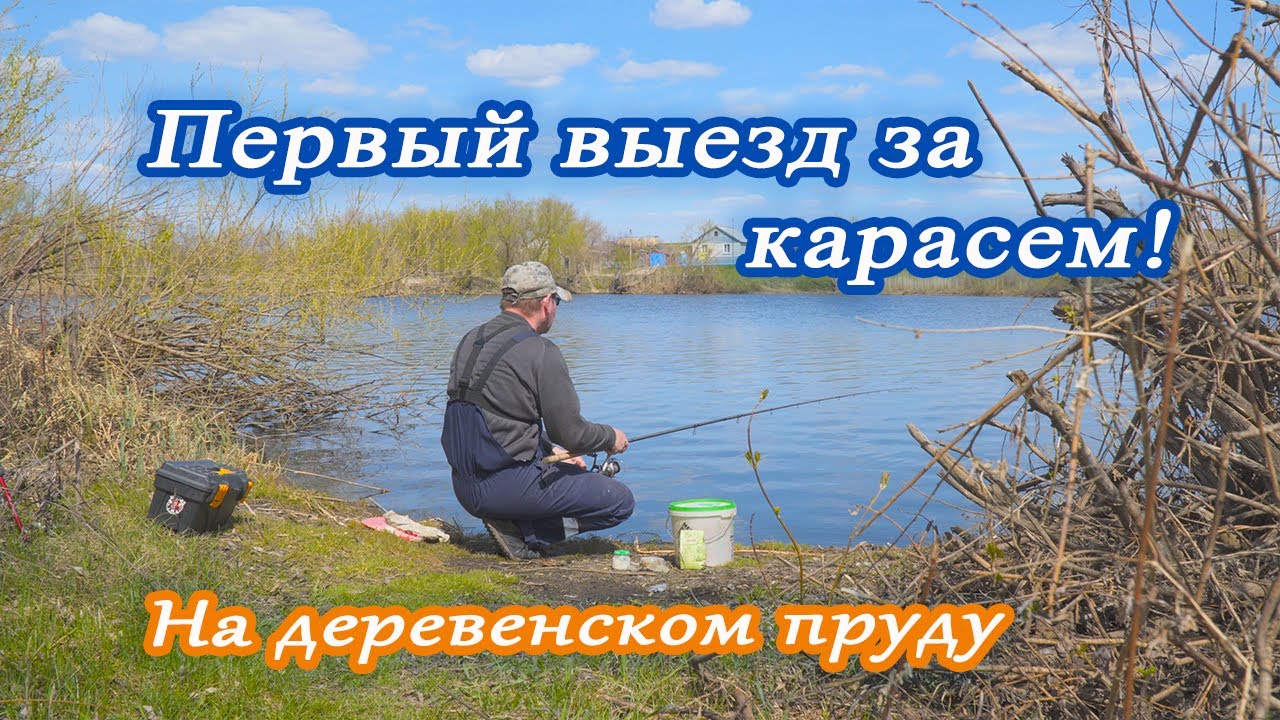 Первый выезд за карасем. На деревенском пруду..#каналнарыбалку#карась