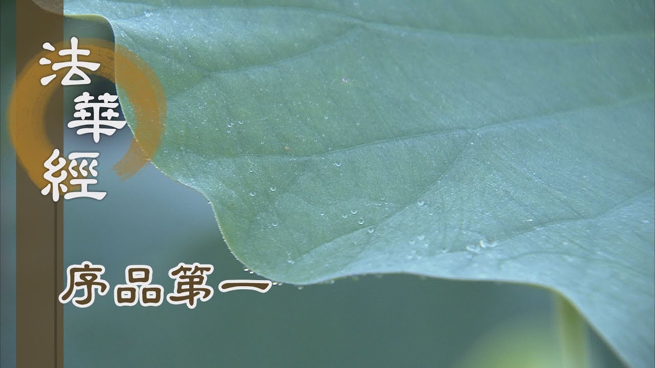 【靜思妙蓮華】法華經序品第一 - 禪定思維斷煩惱 - 20200217 第164集