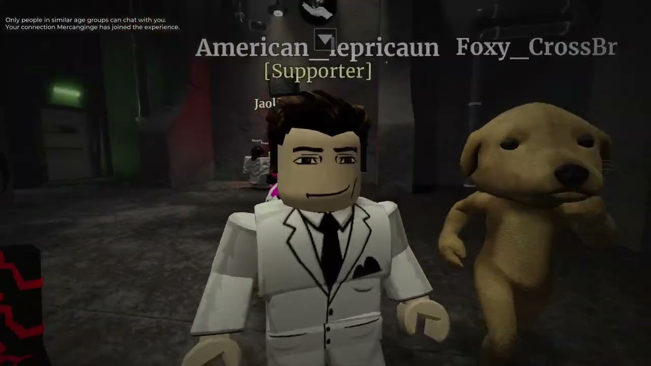 M. E. G Experience