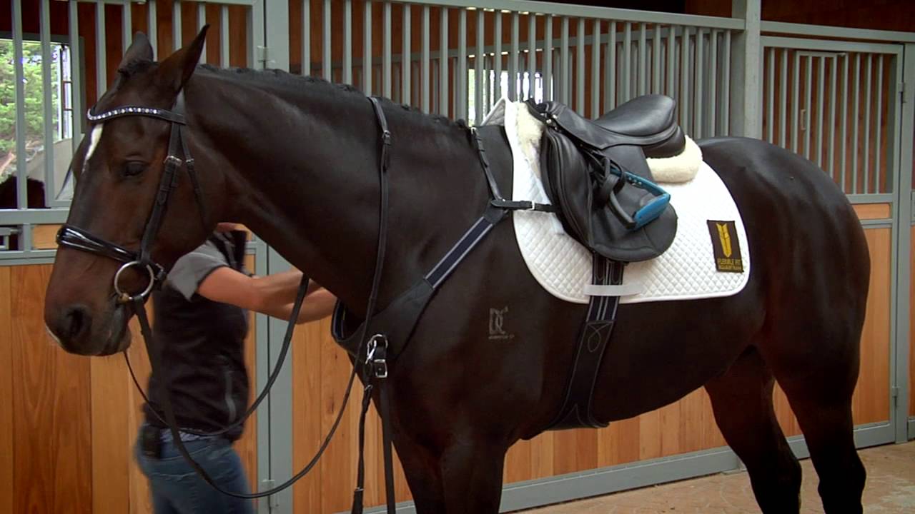 Fitting a Modified Bridge Breastplate