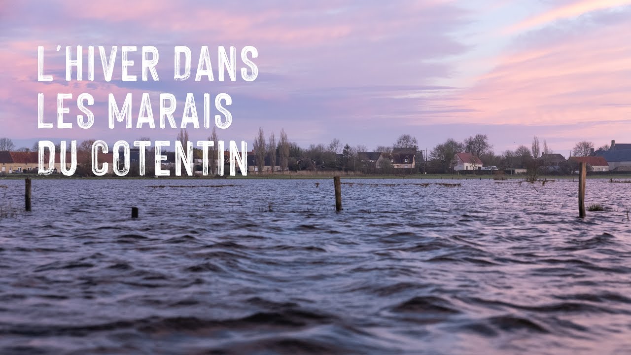 Balade hivernale en barque dans les marais blancs du Cotentin !