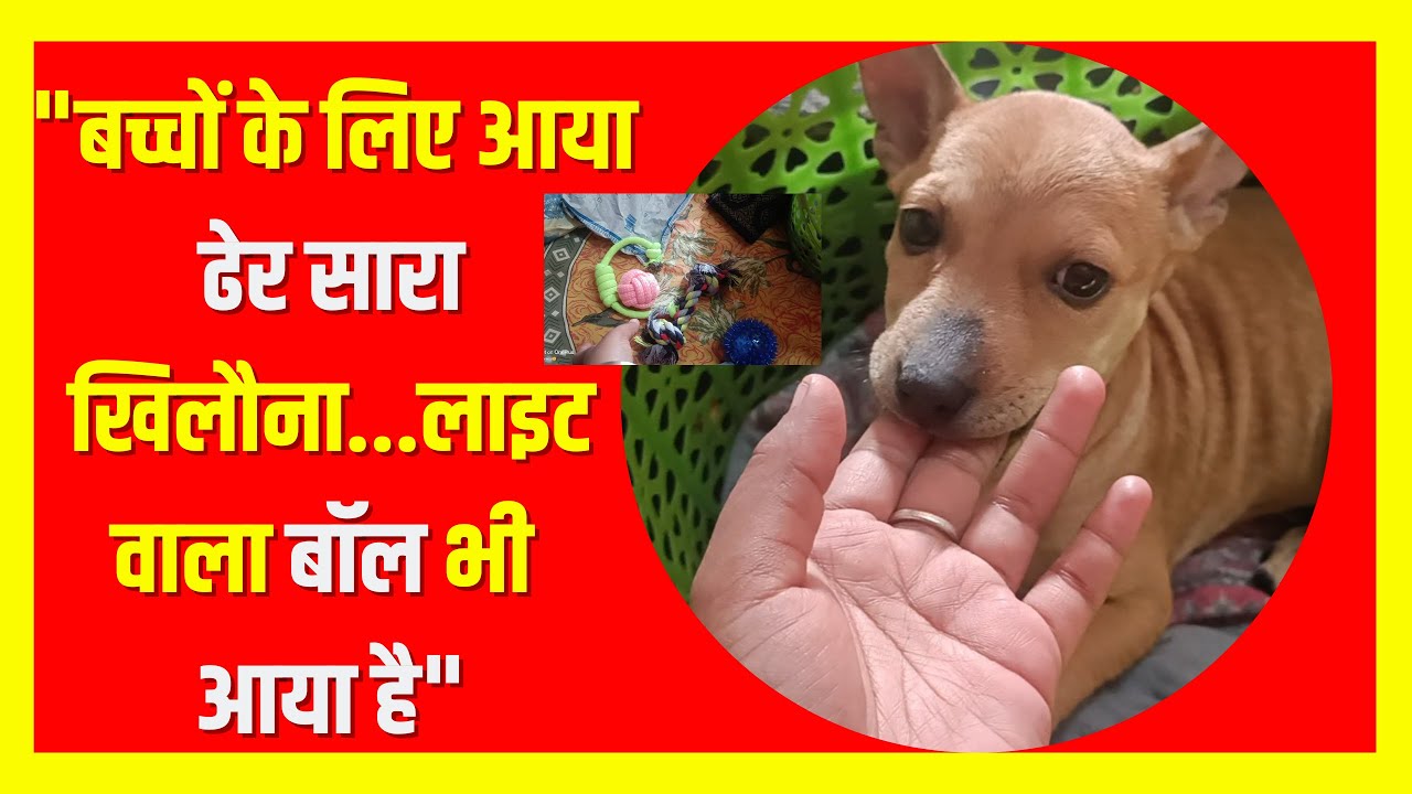 Baccho ke liye dher sara toys mangaye hain...light wala ball |Paws and Feet | 