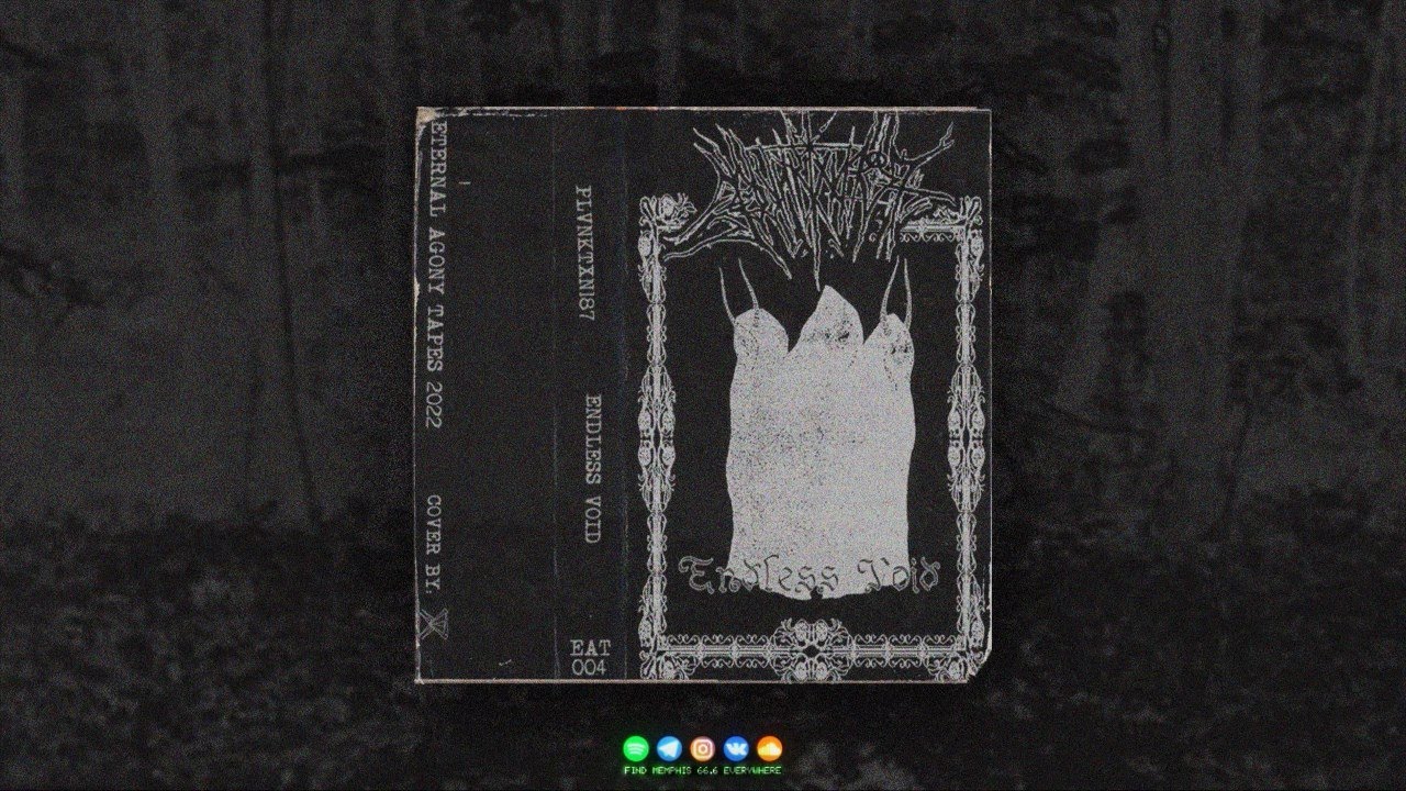 PLVNKTXN187 - ENDLESS VOID [2022] [TAPERIP]